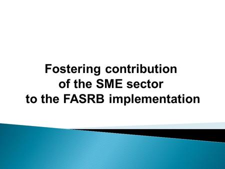 Fostering contribution of the SME sector to the FASRB implementation.