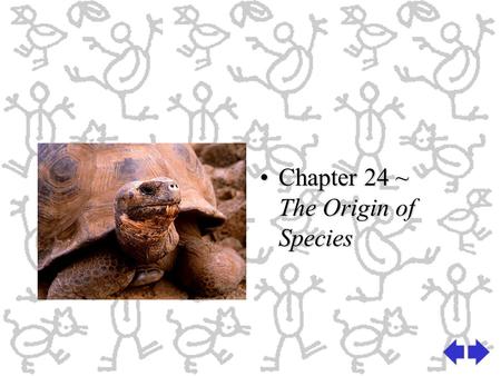 Chapter 24 ~  The Origin of Species