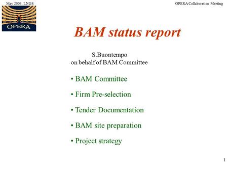 1 BAM status report S.Buontempo on behalf of BAM Committee BAM Committee Firm Pre-selection Tender Documentation BAM site preparation Project strategy.