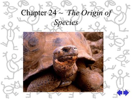 Chapter 24 ~ The Origin of Species