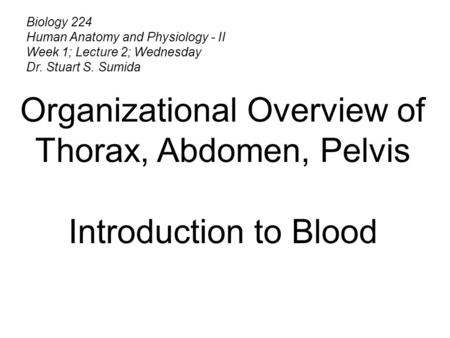 Biology 224 Human Anatomy and Physiology - II Week 1; Lecture 2; Wednesday Dr. Stuart S. Sumida Organizational Overview of Thorax, Abdomen, Pelvis Introduction.