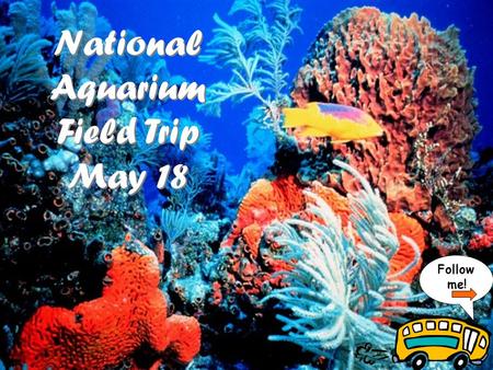 National Aquarium Field Trip May 18 National Aquarium Field Trip May 18 Follow me!