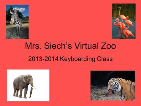 Mrs. Siech’s Virtual Zoo 2013-2014 Keyboarding Class.