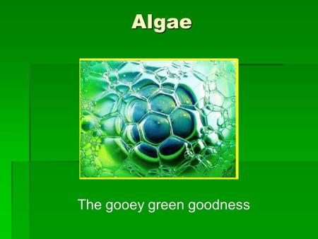 Algae The gooey green goodness. Biofuels  Other natural fuels and why they receive less hype?  Ethanol  Soybean  Peanut  Switch grass  Methane.