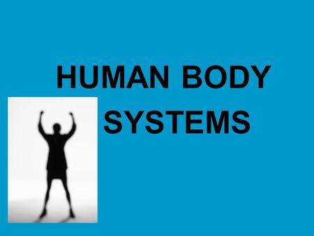 HUMAN BODY SYSTEMS. Why are my body systems like a set of dominos?
