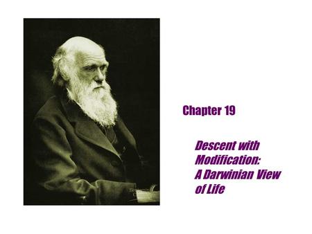 Chapter 19 Descent with Modification: A Darwinian View of Life.