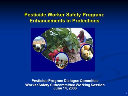1 Pesticide Worker Safety Program: Enhancements in Protections Pesticide Program Dialogue Committee Worker Safety Subcommittee Working Session June 14,