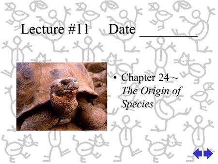 Lecture #11 Date ________ Chapter 24 ~ The Origin of Species.