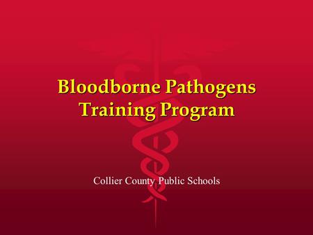 Bloodborne Pathogens Training Program
