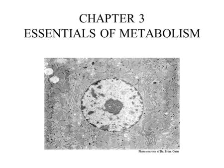 CHAPTER 3 ESSENTIALS OF METABOLISM Photo courtesy of Dr. Brian Oates.