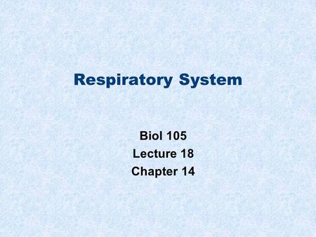 Respiratory System Biol 105 Lecture 18 Chapter 14.