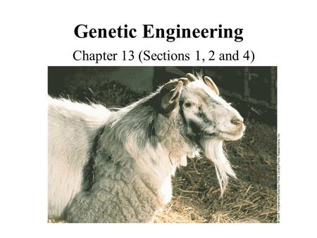 Genetic Engineering Chapter 13 (Sections 1, 2 and 4)