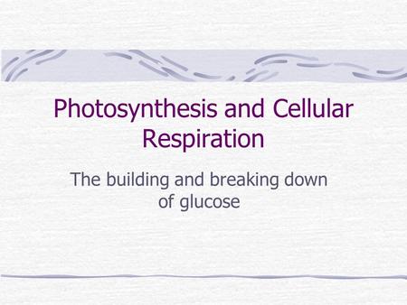 Photosynthesis and Cellular Respiration The building and breaking down of glucose.
