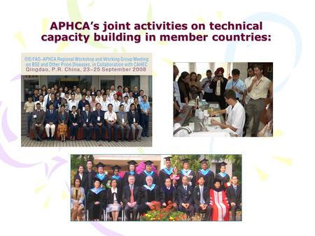 APHCA ’ s joint activities on technical capacity building in member countries: