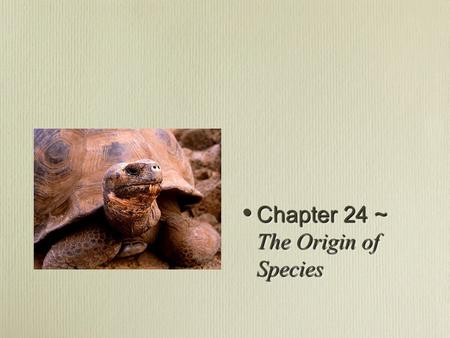 Chapter 24 ~ The Origin of Species Chapter 24 ~ The Origin of Species.