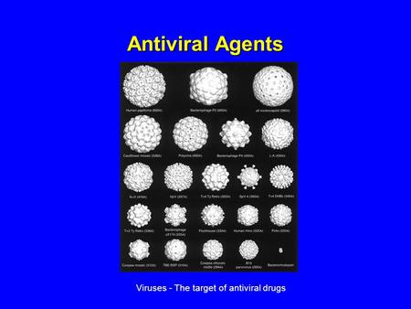 Antiviral Agents Viruses - The target of antiviral drugs.