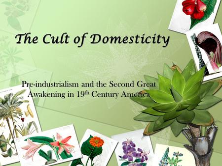 The Cult of Domesticity Pre-industrialism and the Second Great Awakening in 19 th Century America.