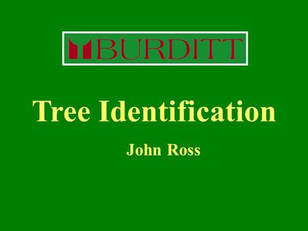 Tree Identification John Ross.