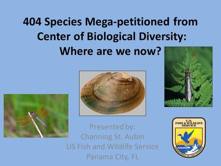 404 Species Mega-petitioned from Center of Biological Diversity: Where are we now? Presented by: Channing St. Aubin US Fish and Wildlife Service Panama.