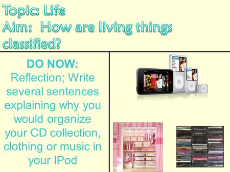 DO NOW: Reflection; Write several sentences explaining why you would organize your CD collection, clothing or music in your IPod.