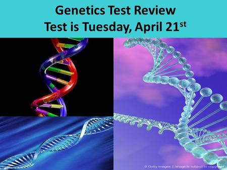 Genetics Test Review Test is Tuesday, April 21st