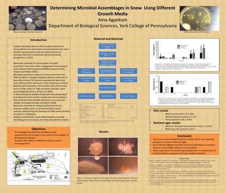Determining Microbial Assemblages in Snow Using Different Growth Media Ama Agyekum Department of Biological Sciences, York College of Pennsylvania Introduction.