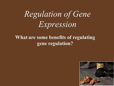 Regulation of Gene Expression What are some benefits of regulating gene regulation?