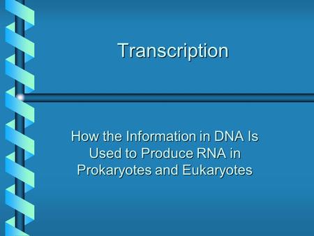 Transcription How the Information in DNA Is Used to Produce RNA in Prokaryotes and Eukaryotes.