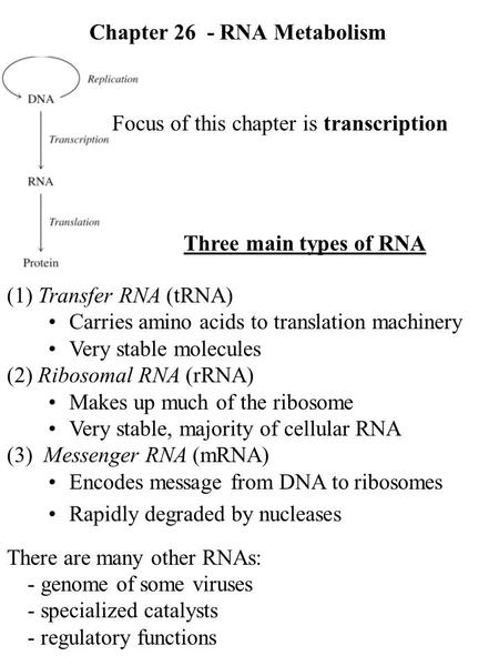 Chapter 26 - RNA Metabolism