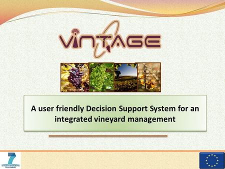 A user friendly Decision Support System for an integrated vineyard management.