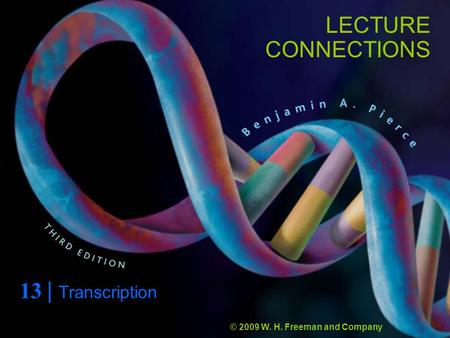 LECTURE CONNECTIONS 13 | Transcription © 2009 W. H. Freeman and Company.