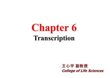 Chapter 6 Transcription 王心宇 副教授 College of Life Sciences.
