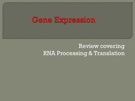 Review covering RNA Processing & Translation. - Transcription has created a primary transcript (pre mRNA) that is not ready to be exported from the nucleus.
