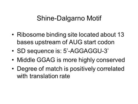 Shine-Dalgarno Motif Ribosome binding site located about 13 bases upstream of AUG start codon SD sequence is: 5’-AGGAGGU-3’ Middle GGAG is more highly.