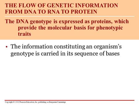 Copyright © 2003 Pearson Education, Inc. publishing as Benjamin Cummings The information constituting an organism’s genotype is carried in its sequence.
