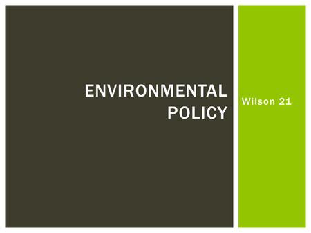 Wilson 21 ENVIRONMENTAL POLICY. Who Governs?  Why have environmental issues become so important in American politics and policy-making?  Does the public.