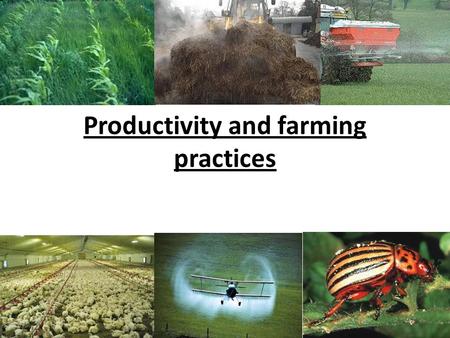 Productivity and farming practices. What the specification says in section 3.4.5: “comparison of natural ecosystems and those based on modern intensive.
