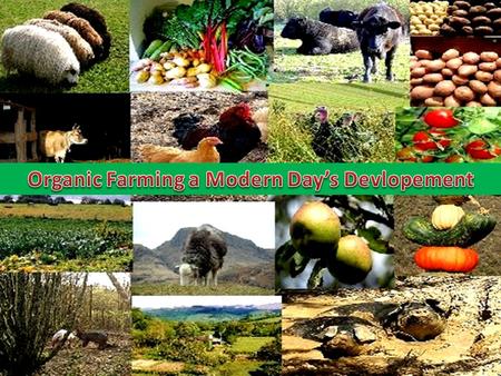 Organic Farming a Modern Day’s Devlopement