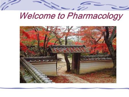 Welcome to Pharmacology. Chapter 18 Antiepileptic & Anticonvulsive Drugs.