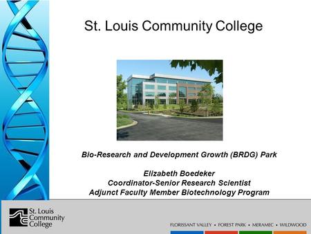 Bio-Research & Development Growth Park at the Danforth Center St. Louis Community College Bio-Research and Development Growth (BRDG) Park Elizabeth Boedeker.