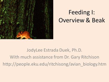 Feeding I: Overview & Beak JodyLee Estrada Duek, Ph.D. With much assistance from Dr. Gary Ritchison