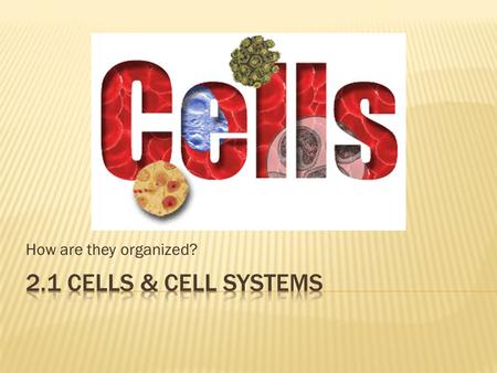 How are they organized? 2.1 Cells & Cell Systems.
