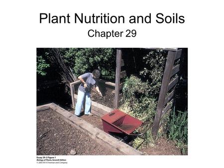 Plant Nutrition and Soils Chapter 29. Plant Nutrition Plant Nutrition- uptake from the environment of all raw materials required for essential biochemical.