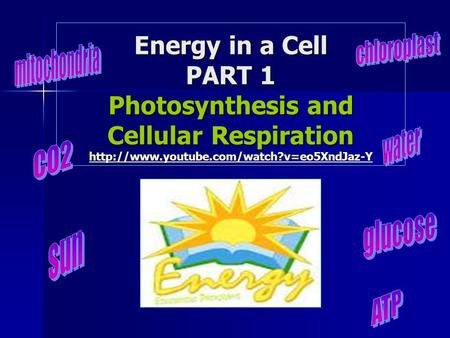 Energy in a Cell PART 1 Photosynthesis and Cellular Respiration