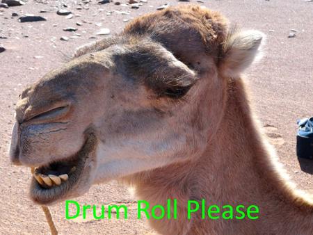 Drum Roll Please Desert Diggas PowerPoint By: Max Hochkammer, Javi Turner, John Locker, and Owen Richardson.