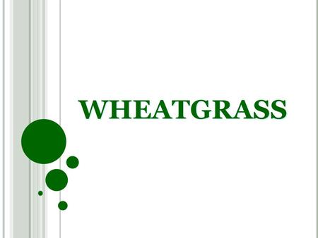 WHEATGRASS HISTORY Wheat grass was used by Chinese as early as 2800 BC.