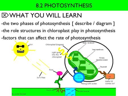 WHAT YOU WILL LEARN 8.2 PHOTOSYNTHESIS