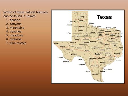 Which of these natural features can be found in Texas?