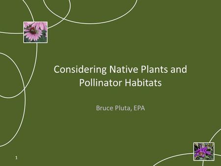 Considering Native Plants and Pollinator Habitats Bruce Pluta, EPA 1.