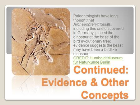 Evolution Continued: Evidence & Other Concepts